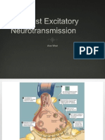 Fast Excitatory Neurotransmission