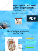 Decja Endodoncija