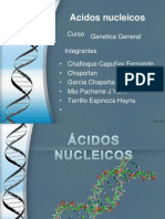Acidos Nucleicos Final