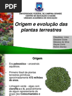 Seminario Origem Plants Terrestres FINAL