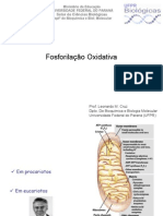 BQ005-FosforilacaoOxidativa (1)