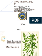 Marihuana