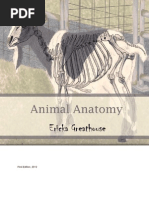 Download Animal Anatomy by Ilse Rivera Fernndez SN129633202 doc pdf