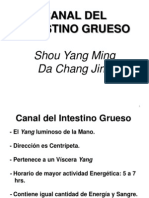 Canal Del Intestino Grueso