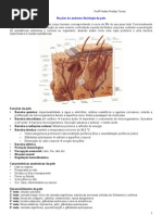 02- Anátomo-fisiologia da Pele