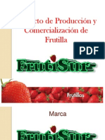 Proyecto de Producción y Comercialización de Frutilla