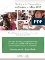 Vacunación Canina y Felina 2013