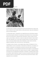 Candomblé e umbanda