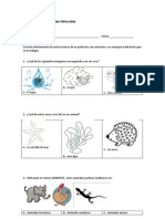 Diagnóstico de Ciencias Naturales PRIMERO BASICO