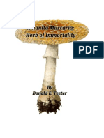 29561969 Amanita Muscaria Herb of Immortality