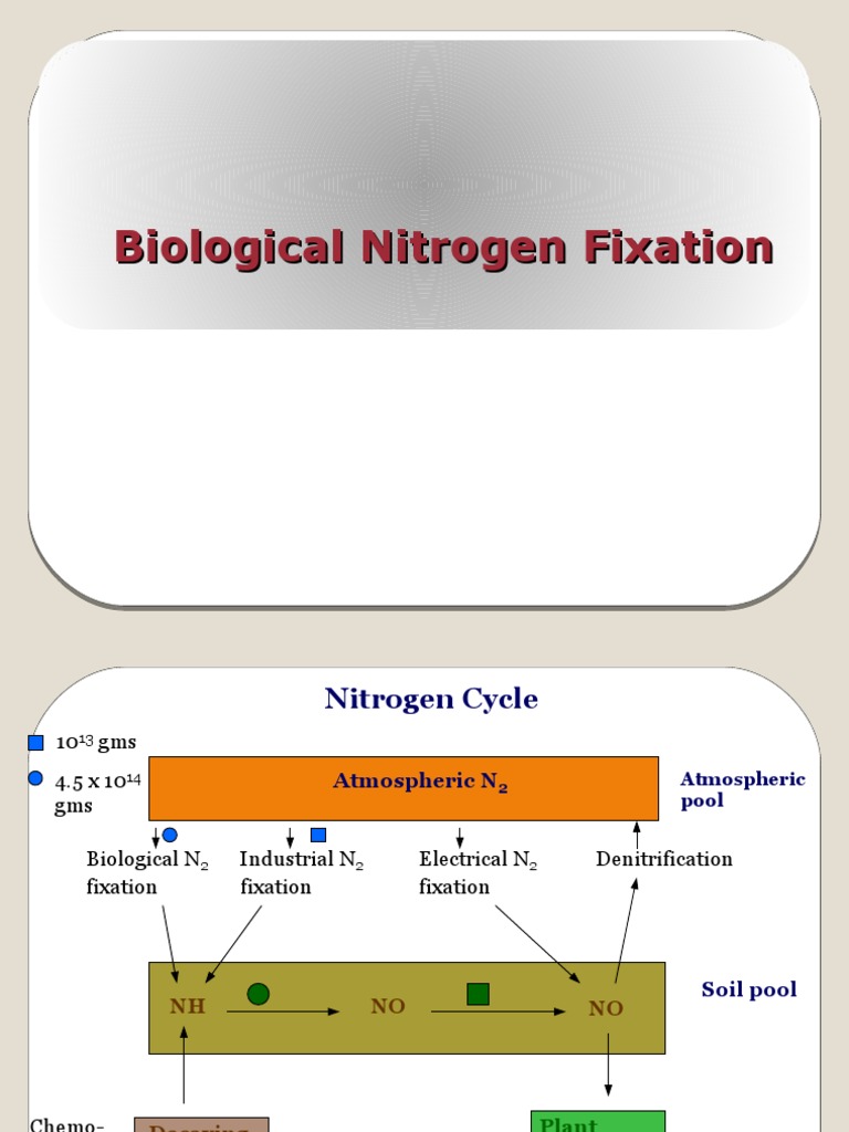 Mechanisms of Biological Nitrogen Fixation | PDF | Biochemistry | Chemistry