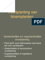 Voortplanting Van Bloemplanten