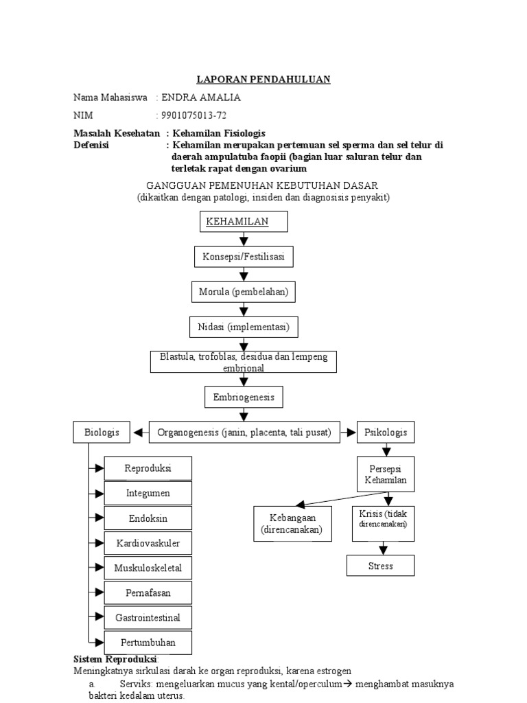 LP Kehamilan Fisiologis | PDF