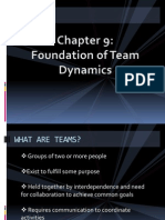 Foundation of Team Dynamics