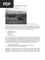 Download Hubungan Antara Iklim Dan Tanaman by Sischa Andriani SN129701196 doc pdf