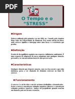 O TEMPO E O STRESS2.doc