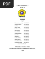 Download Skenario b Blok 15 Autosaved by Risha Meilinda Marpaung SN129713759 doc pdf