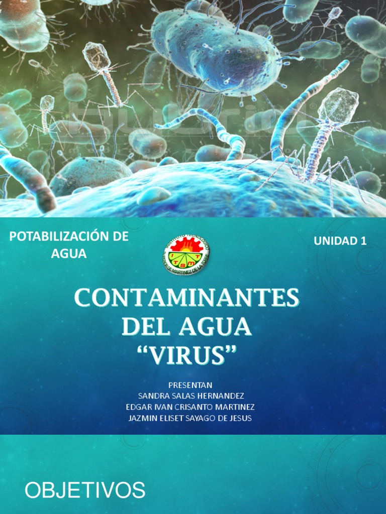 Virus en Agua: Riesgos y Potabilización | PDF | Virus | Infección