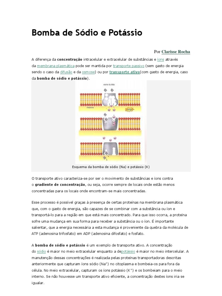 Bomba de Sódio e Potássio: Transporte Ativo Essencial | PDF | Membrana  celular | Biologia Celular, image size:768x1024