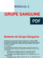 Grupe Sanguine
