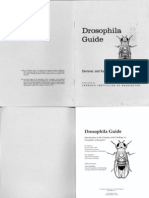 Drosophila Guide