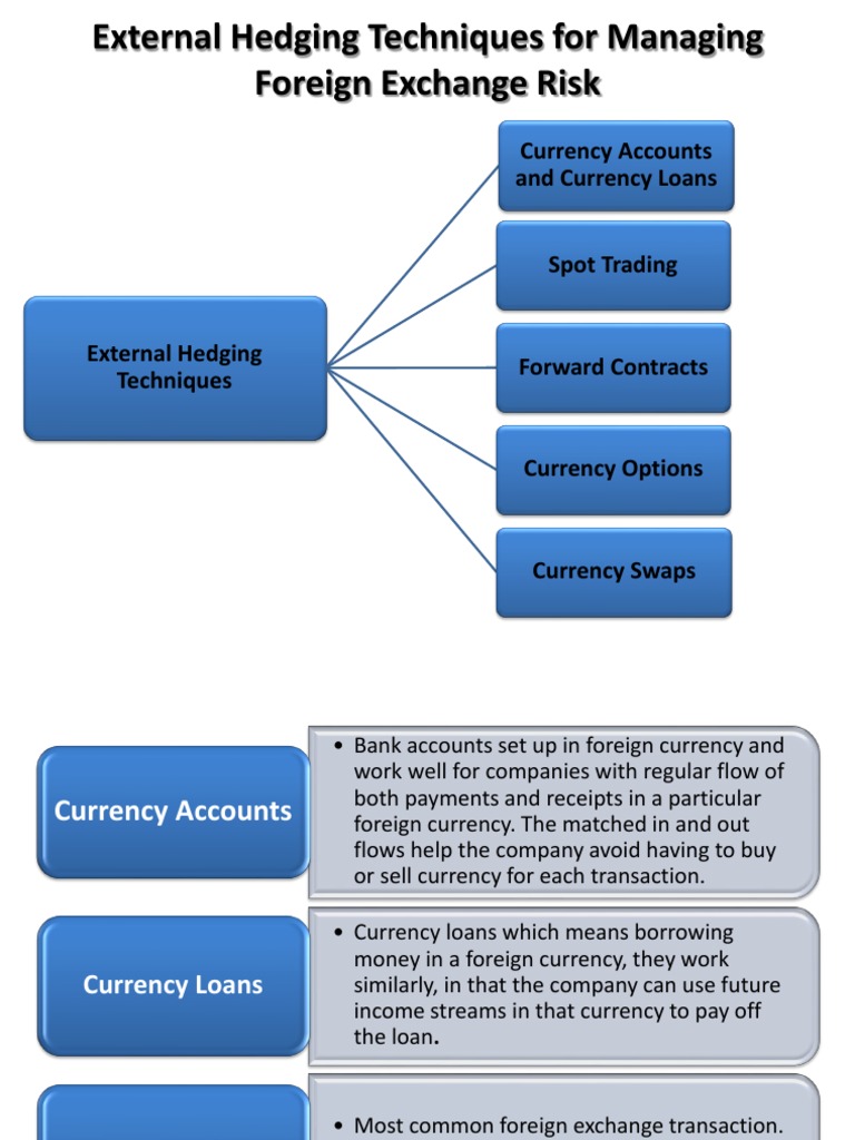 External Hedging Techniques For Managing Foreign Exchange Risk PDF