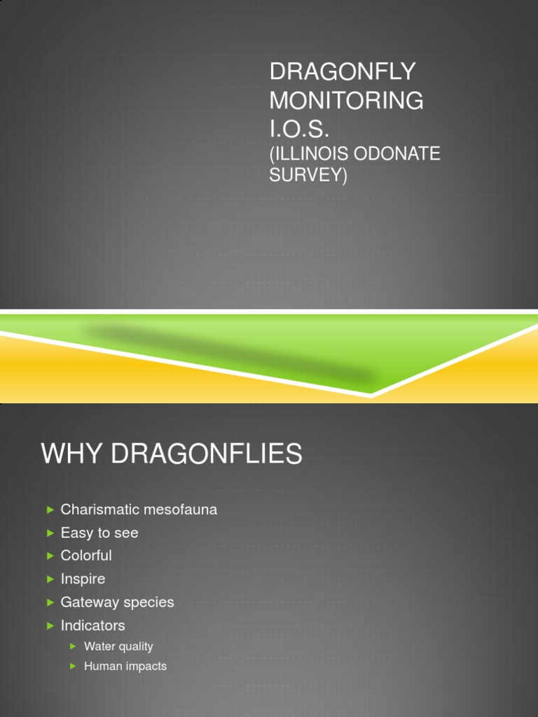 Dragonfly Monitoring | PDF | Dragonfly | Insects