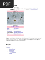 Download Euglena Verde by Cobra SN129778094 doc pdf