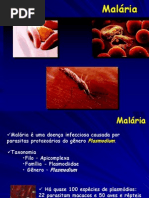 Malária-Odontologia 2009 (1).pptx