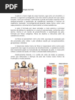 Estrutura e Fisiologia Da Pele