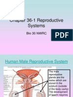 Chapter 36-1 Reproductive Systems