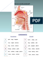 teachingpronunciation-090908224624-phpapp02