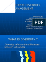 Workforce Diversity Management