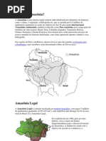 O que é a Amazônia.docx