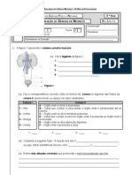 Sistema Excretor Plantas 2005 06