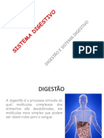 Sistema Digestivo