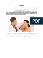 Enfermedades Del Sistema Endocrino