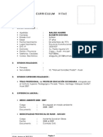 EGMQ 2013 - Curriculum Vitae Profesional