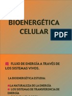 Bionergética-Celular