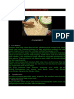 Download Laporan Praktikum Membuat Tempe by Saepul Malik SN129851873 doc pdf