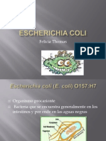 Escherichiacoli 091130184721 Phpapp01