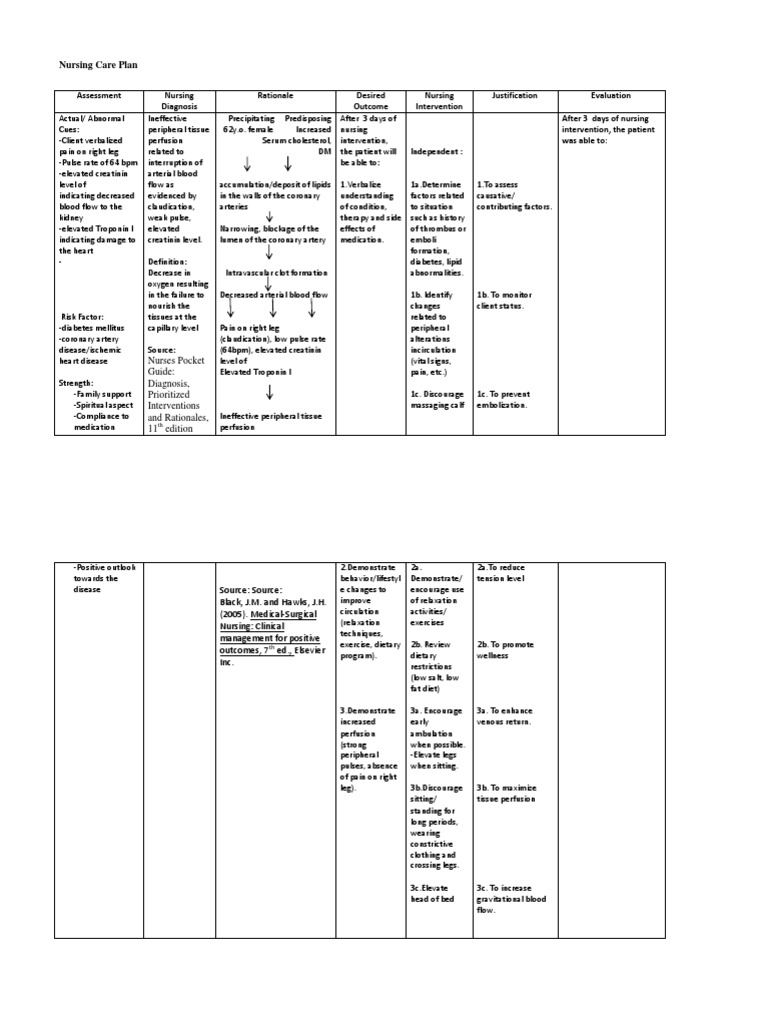 Nursing Care Plan Ineffective peripheral tissue perfusion | Circulatory