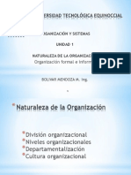 Naturaleza de La Organizacion