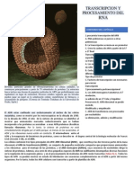 Transcripcion y Procesamiento Del Rna