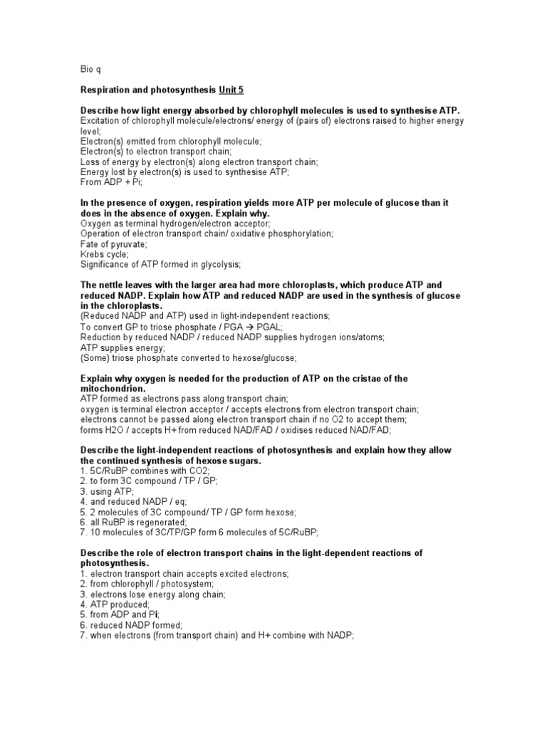 What is the role of H2O in photosynthesis?