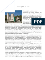 50 - Industria globala a cimentului.pdf