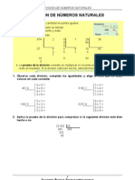 54 Division Naturales