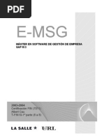 E-Msg: Máster en Software de Gestión de Empresa Sap R/3