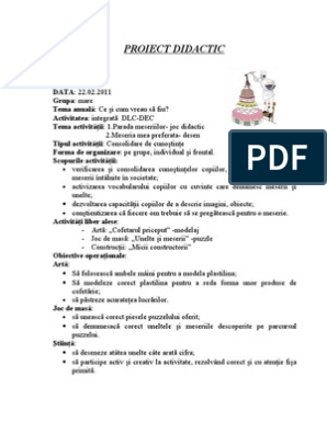 Proiect Didactic Def