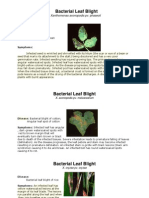 Aldo Disease